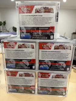 Pokemon TCG Scarlet & Violet Paldea Evolved Booster Box x5 + Acrylic Cases - Image 4