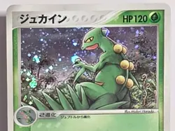 Sceptile 003/055 1st Edition Holo Rare Vintage Expansion Pack A5 Pokemon TCG NM - Image 2