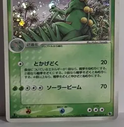 Sceptile 003/055 1st Edition Holo Rare Vintage Expansion Pack A5 Pokemon TCG NM - Image 3