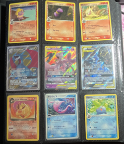 Pokemon Card Binder Collection! Delta Species, WOTC, TV Series, Full Arts, Holos - Image 1