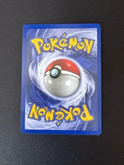 Pokemon WB Movie Promo Card Set Pikachu, Mewtwo, Dragonite, Electabuzz (1999) - Image 3