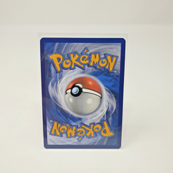 Lileep 145/142 Stellar Crown Illustration Rare Pokemon TCG Card Holo IR ENG - Image 2