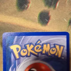 Pokemon TCG Quilava 91/165 Expedition Reverse Holo e-Reader 🔥🔥 - Image 4