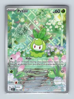2025 Pokemon TCG Petilil SV: Black Bolt 091/086 Holo Illustration Rare NM - Image 1