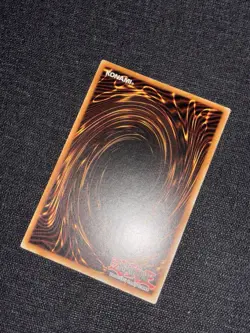 Yugioh! Red Eyes Black Dragon YAP1-EN002 Ultra Rare Near Mint English - Image 5