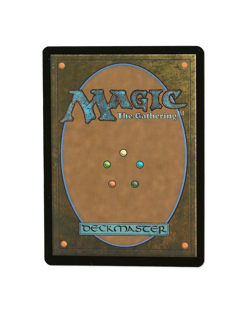 Badgermole Cub (TLA-167) - Avatar: The Last Airbender - Magic The Gathering NM - Image 2