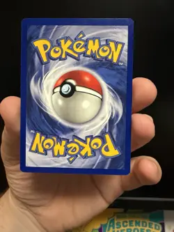 Pokemon TCG Base Set Shadowless 1st Edition Weedle 69/102 (GREY STAMP!!) - Image 4