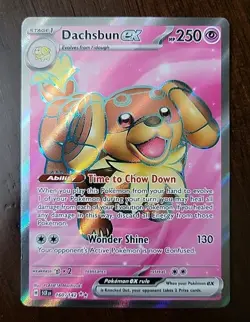 DACHSBUN EX - 160/142 - STELLAR CROWN - ULTRA RARE - POKEMON CARD - Image 1