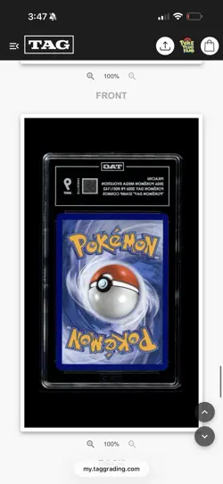 Pikachu (Pokemon Day 2026) 051/162 Miscellaneous Cards & Products Holo - Image 2