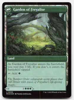 Disciple of Freyalise (Foil) - NM - MH3 Modern Horizons 3 # 250 - MTG Magic - Image 2