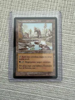 MTG Yavimaya Hollow Urza's Destiny 143/144 Regular Rare - Image 1