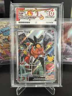 Pokemon TCG Tepig 050 Black Star Promo Card First Partner Series 2 - Ace 10 - Image 1