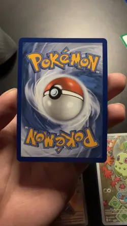 Pokemon TCG: First Partner Illustration Collection Series 2 - JOHTO GEN 2 set - Image 5