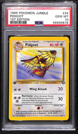 1999 Pokemon Pidgeot, 1st Edition Jungle #24/64, PSA 10 Gem Mint - Image 1