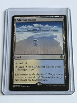 Adarkar Wastes 243 MTG Dominaria United 2022 Near Mint Non Foil Rare Land - Image 1