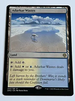 Adarkar Wastes 243 MTG Dominaria United 2022 Near Mint Non Foil Rare Land - Image 4