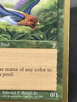 Birds of Paradise MTG World Championship Deck 2001 - Image 2