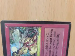 MTG Earthbind Card Limited Edition Alpha - Image 2