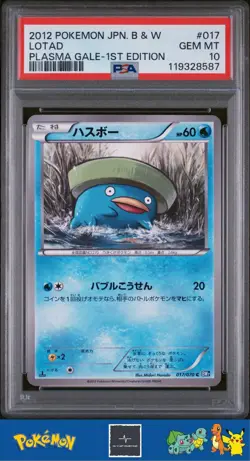 2012 Pokemon Japanese BW7 Plasma Gale 1st Ed 017/070 Lotad PSA 10 - Image 1