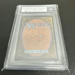 MTG 1993 Arabian Nights "Island of Wak-Wak" Beckett Graded 8 NM-MT BN 11 - Image 2