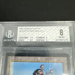 MTG 1993 Arabian Nights "Island of Wak-Wak" Beckett Graded 8 NM-MT BN 11 - Image 3