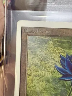 ***Unlimited Black Lotus MTG Unlimited Magic PLD Excellent! 🔥 - Image 2