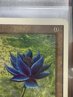 ***Unlimited Black Lotus MTG Unlimited Magic PLD Excellent! 🔥 - Image 3