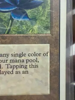 ***Unlimited Black Lotus MTG Unlimited Magic PLD Excellent! 🔥 - Image 5