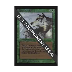 WOTC MtG International Ed. Aspect of Wolf (R) NM - Image 1