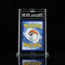 Lucario V SWSH213 SWSH: Sword & Shield Promo Cards Holo TAG 10 Gem Mint - Image 2