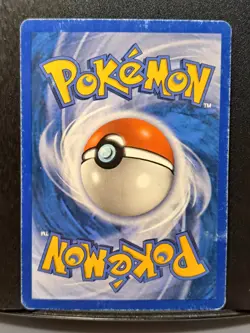 Gyarados 11/144 Skyridge 2003 Regular Rare Pokemon TCG Ungraded Card - Image 3