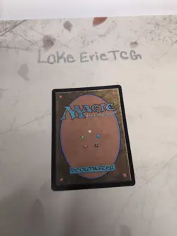 SPELLBOOK VENDOR ~ NM/M Pack Fresh ~ MTG - WOE Wilds of Eldraine 0031 - Image 2