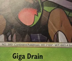 Pokemon TCG Torterra 10/95 2010 Unleashed Cracked Ice Holo Rare Card - MP - Image 3