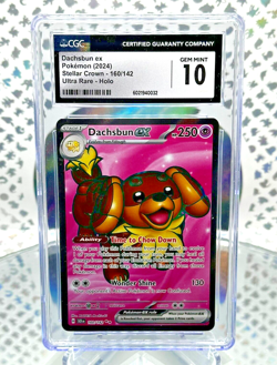 CGC 10 Dachsbun EX 160/142 Stellar Crown Full Art Secret Rare Pokemon Card - Image 1