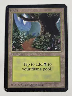 Forest (B) Path Alpha MP Moderate Play MTG Magic The Gathering 1.5 - Image 1