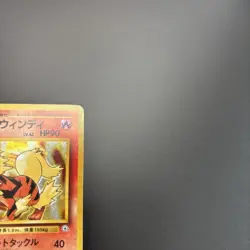 Pokemon Card Game Japanese Vintage Old Back Holo Leaders Set Five Cards - Image 3