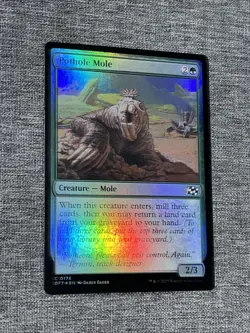 Pothole Mole DFT 0176 MTG Aetherdrift Eng Foil - Image 1