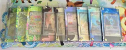 151 starters bundle - Pokemon Extended Artwork Display Cases (No Cards) - Image 1