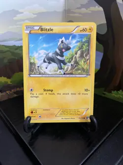 Blitzle 41/114 - Black & White - Common - Pokemon Card TCG - LP/MP - Image 1