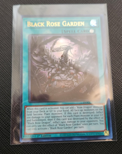 Yu-Gi-Oh! Black Rose Garden Ultra Rare DOOD-EN055 1st Edition!!! - Image 1