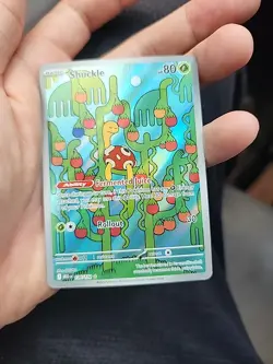 Shuckle 136/132 - ME01: Mega Evolution Pokemon Illustration Rare Holo NM - Image 1