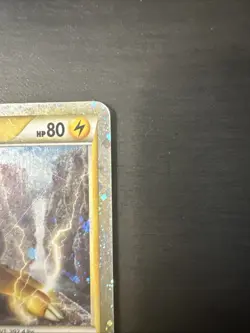 Raikou HGSS19 Holo Card High-Quality Promo Edition - Image 5