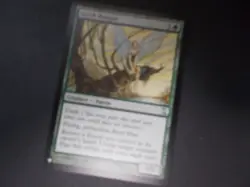 Scryb Ranger x1 MTG Time Spiral Uncommon Green Creature NM - Image 1