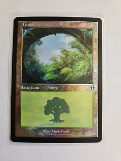 Forest (Retro/Foil) - Commander Masters - LP - MTG Magic - Common - Land - Image 1