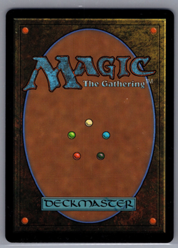 MTG Firion, Wild Rose Warrior (Borderless) FOIL Final Fantasy - Image 2