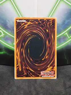 Yugioh Mokey Mokey King RDS-EN036 Common 1st Edition NM - Image 2