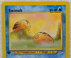 2000 Swinub #84 Neo Destiny Regular Pokemon Card Common 1st Edition - Image 3