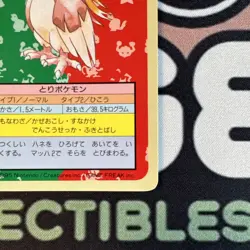 [LP] Pidgeot NO.018 Topsun Pokemon card Japanese Blue Back 1995 - Image 3