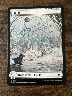 Plains 0265 Full Art Bloomburrow BLB MTG Magic The Gathering S3108* - Image 1