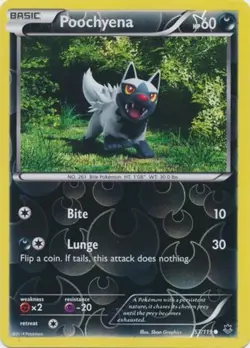 Poochyena - 53/119 - Common - Reverse Holo NM, English Pokemon Phantom Forces - Image 1